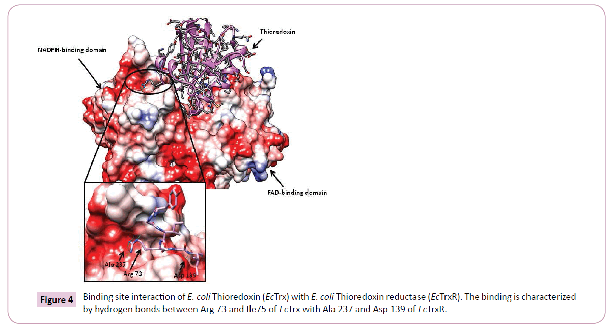 cheminformatics-Binding-site