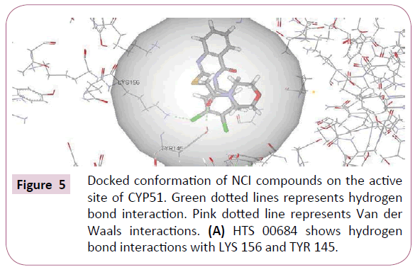 cheminformatics-Docked-conformation