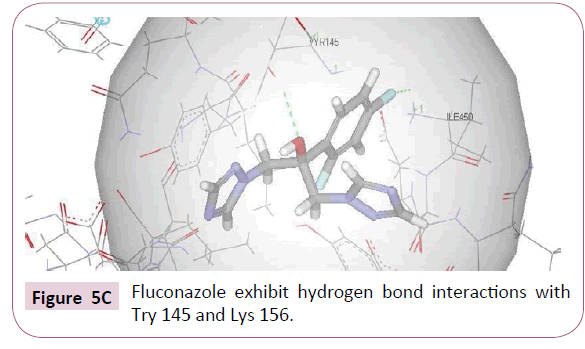 cheminformatics-Fluconazole-exhibit