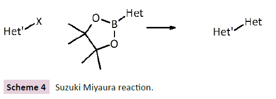 cheminformatics-Miyaura