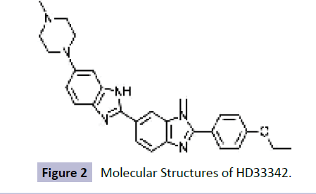 cheminformatics-Molecular