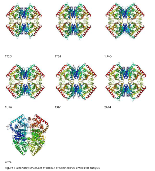 cheminformatics-Secondary-structures-chain