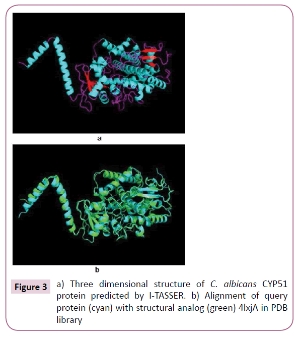 cheminformatics-Three-dimensional