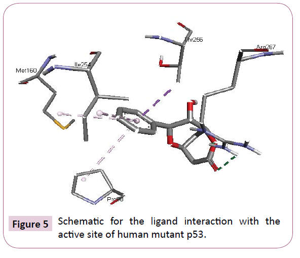 cheminformatics-ligand-interaction