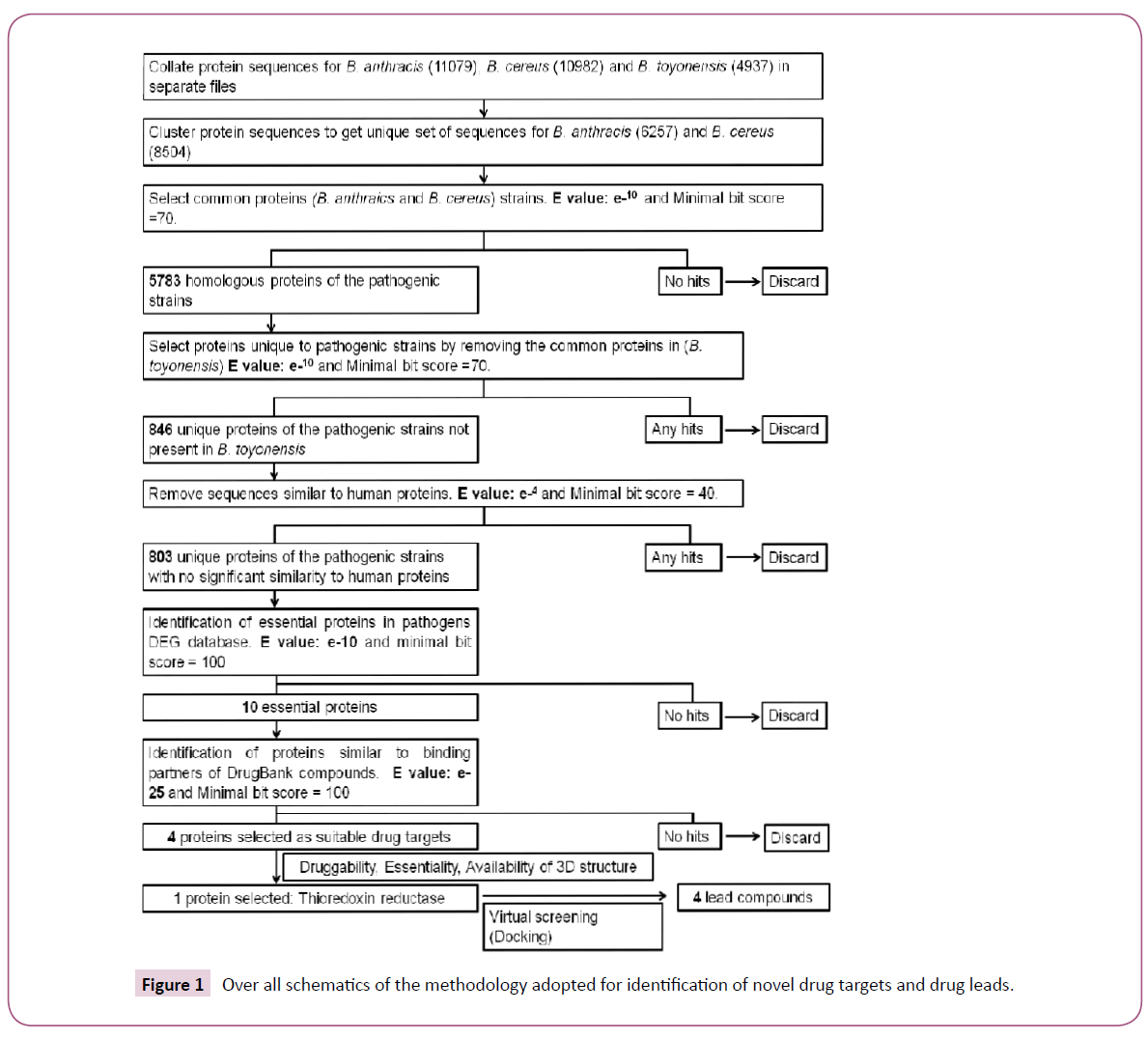 cheminformatics-novel-drug