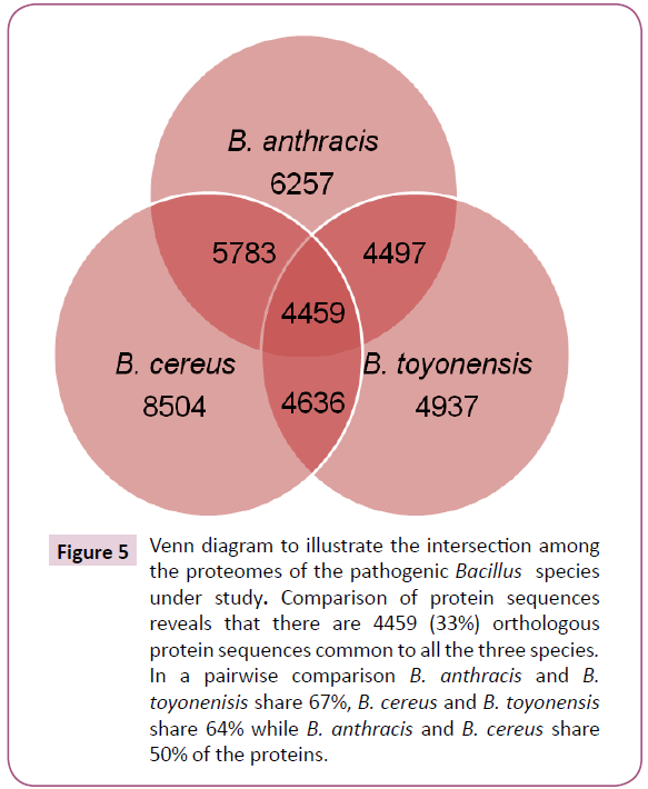 cheminformatics-pathogenic-Bacillus