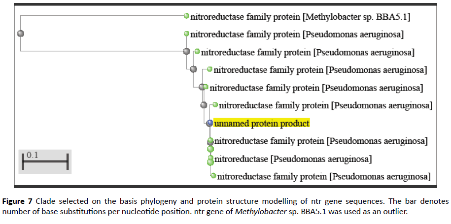 cheminformatics-protein-structure
