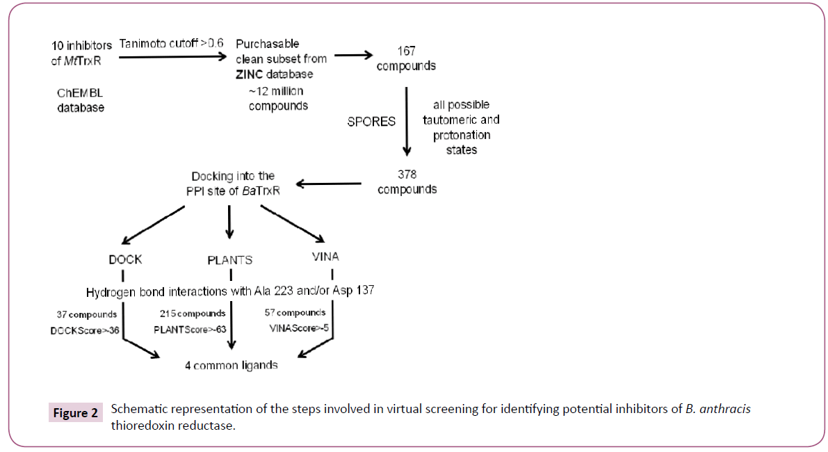 cheminformatics-virtual-screening